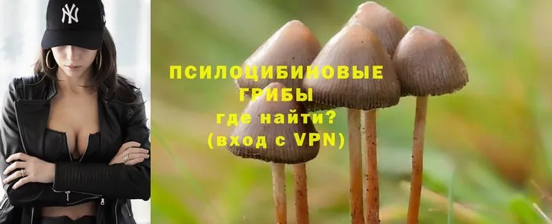 Псилоцибиновые грибы Psilocybine cubensis  как найти закладки  Тюмень 